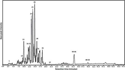 Propolis in Oral Healthcare: Antibacterial Activity of a Composite Resin Enriched With Brazilian Red Propolis